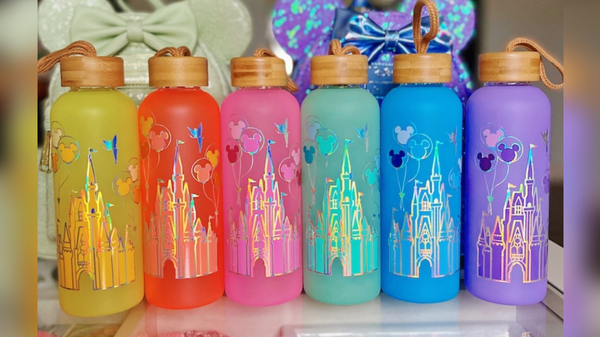 Cinderella Castle Water Bottle To Keep Hydrated All Day! | Chip and Company