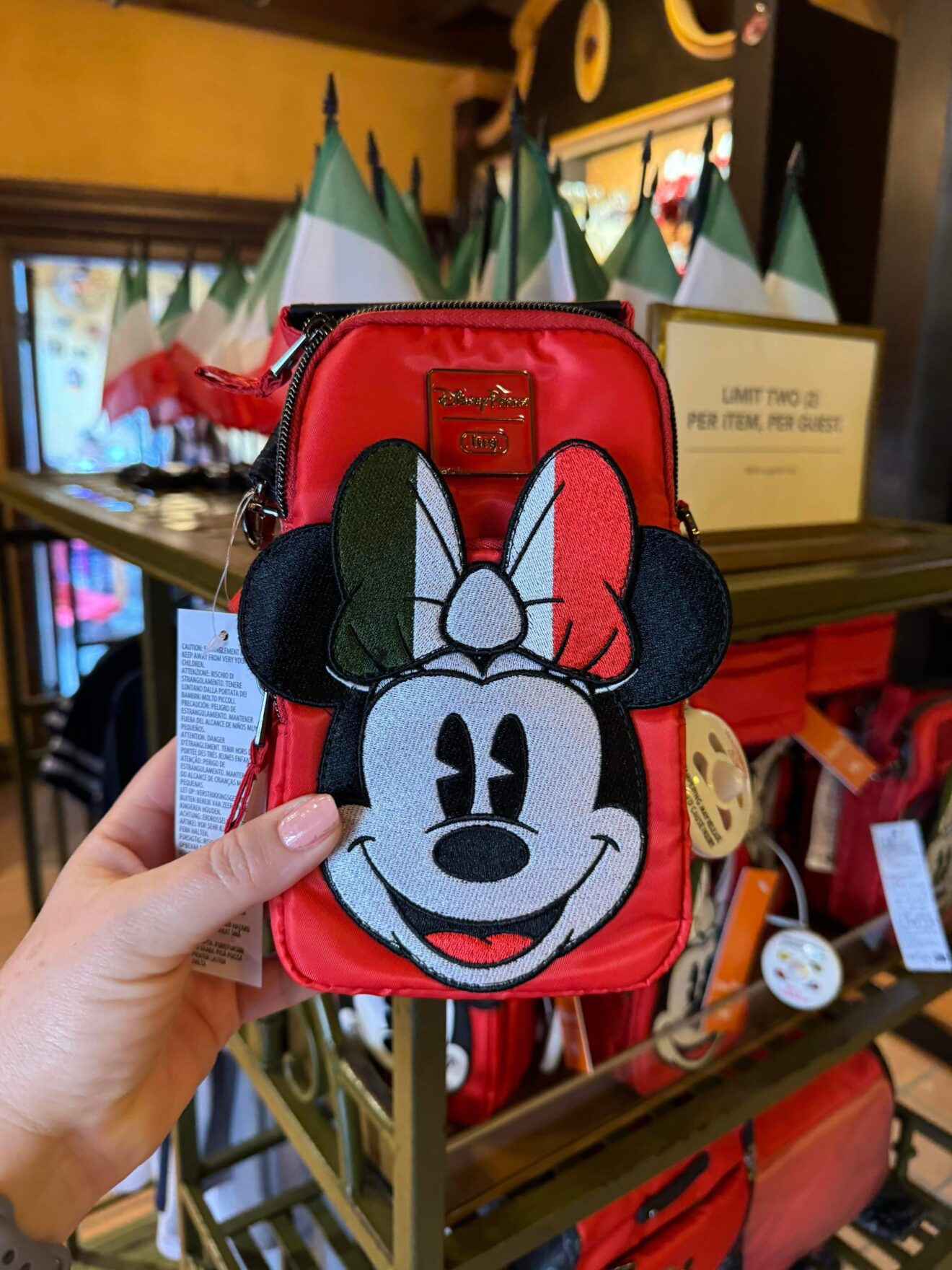 Minnie Mouse Lug Bag