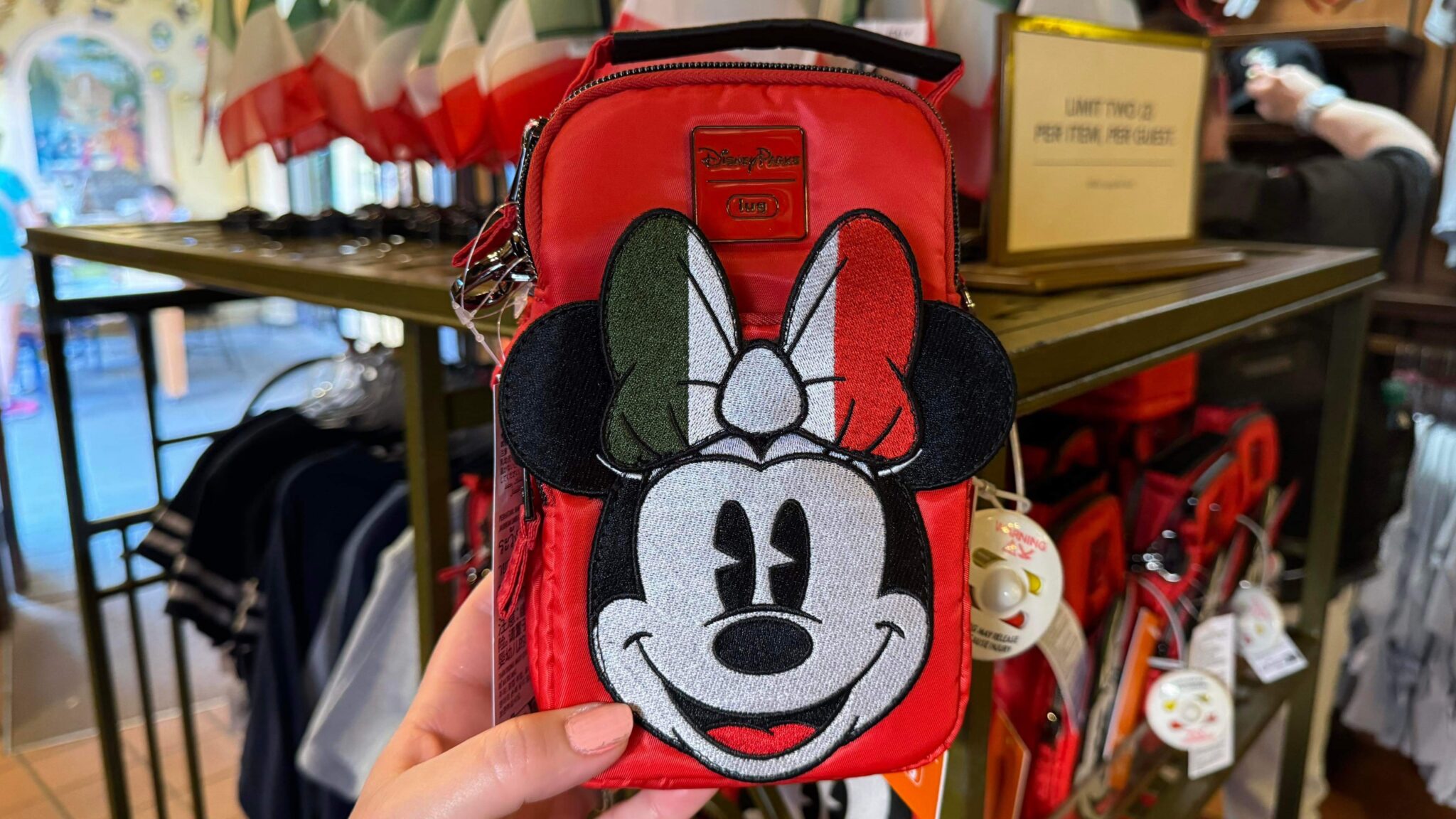 New Minnie Mouse Lug Bag Spotted At Epcot! | Chip and Company