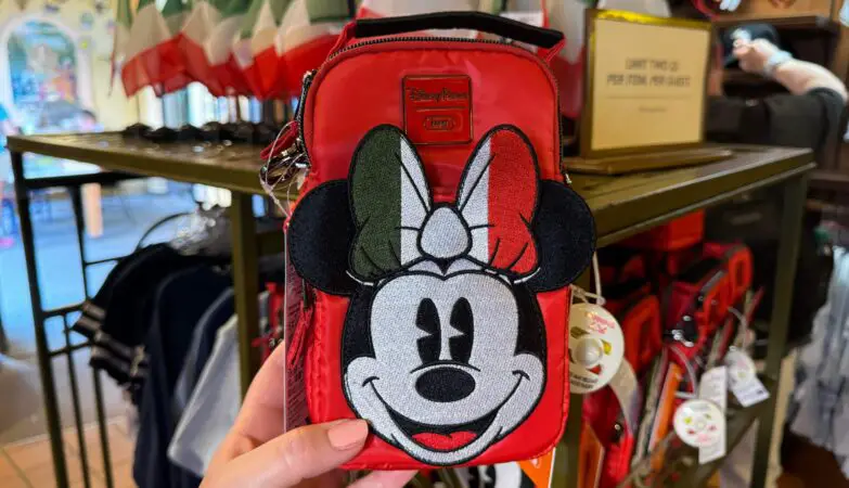 Minnie Mouse Lug Bag