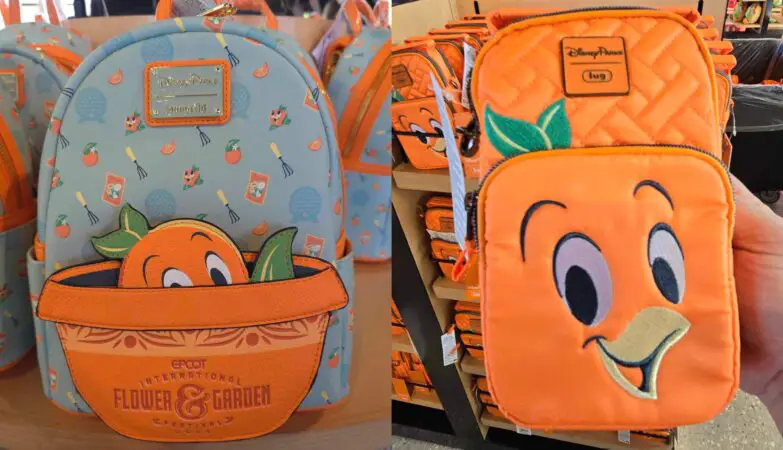 Orange Bird Loungefly And Lug Bags
