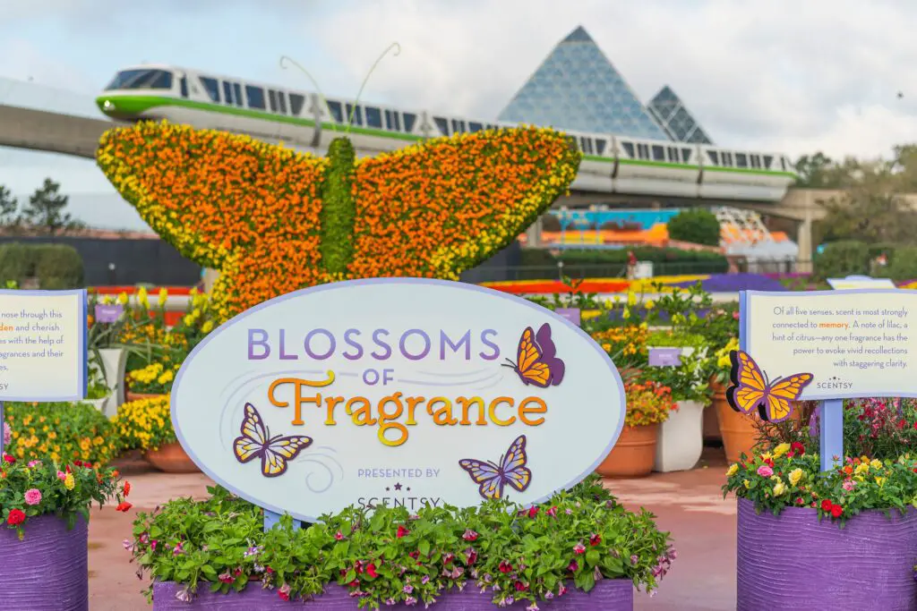 epcot-flower-and-garden-blossoms-of-fragrance