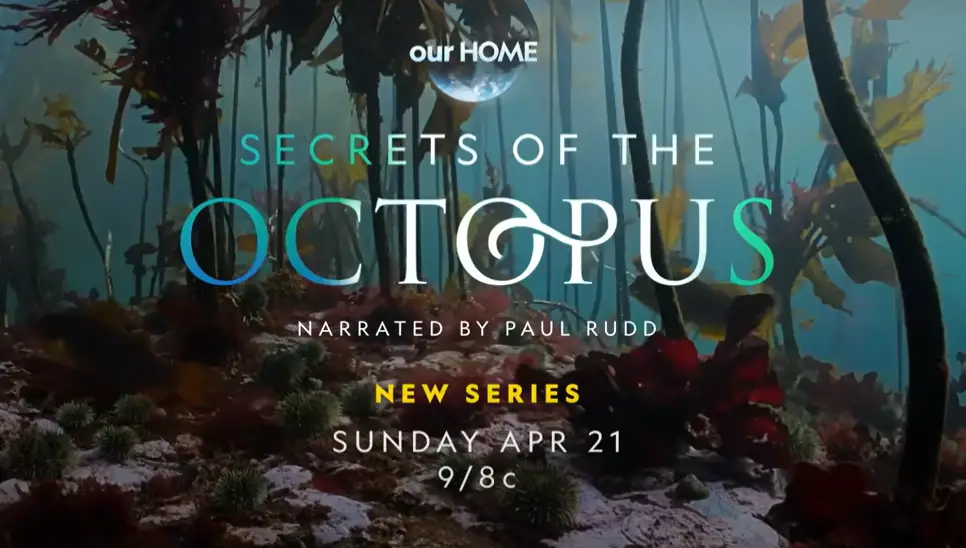 Paul Rudd to Narrate National Geographic Secrets of the Octopus