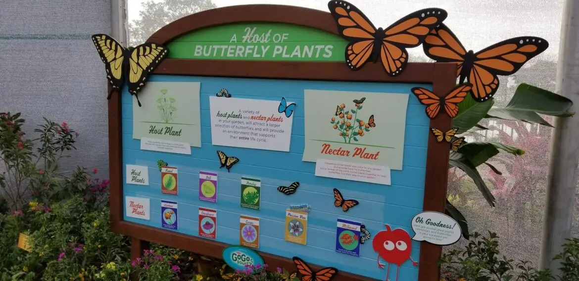 Butterfly Landing Returning to 2024 EPCOT Flower & Garden Festival