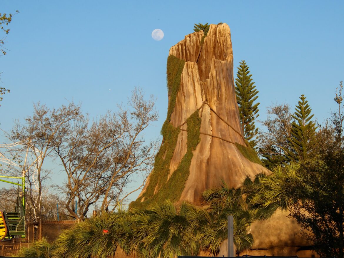 Shrek’s House Goes Vertical in DreamWorks Land in Universal Orlando