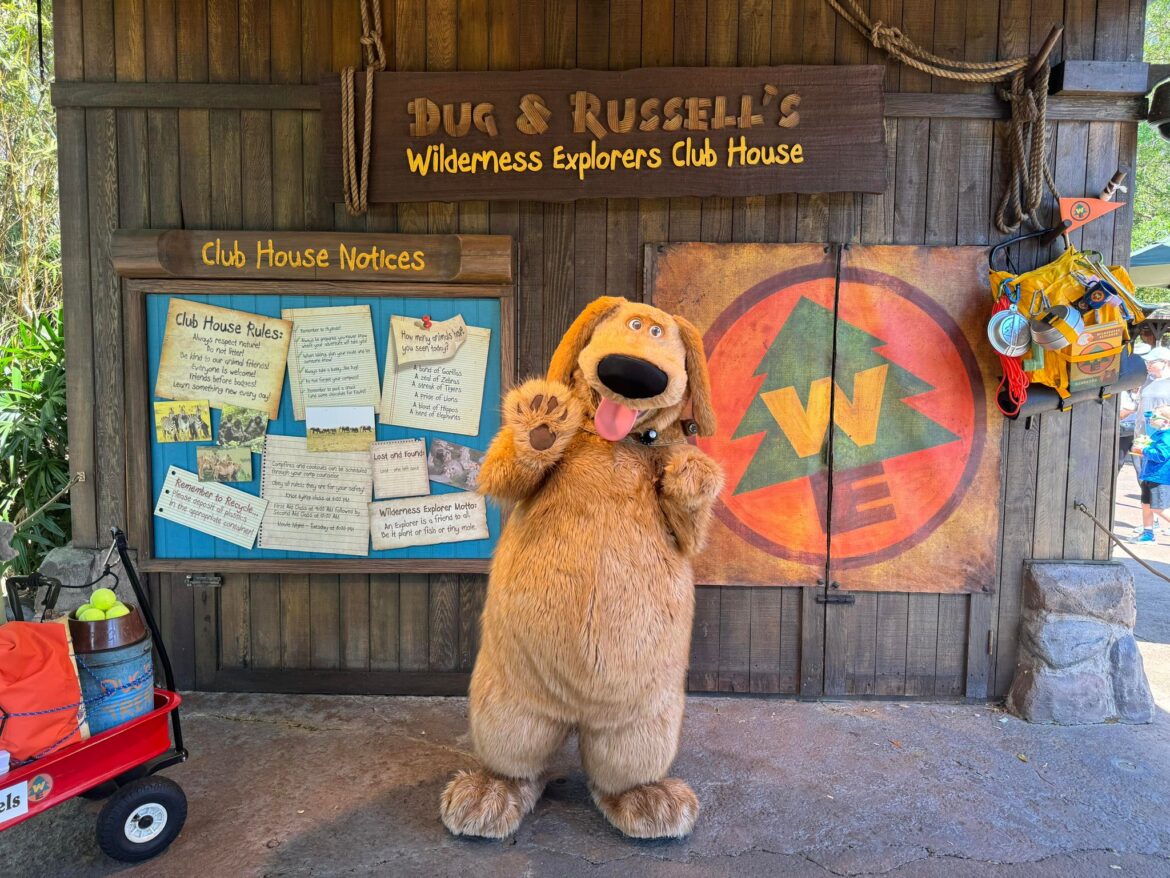 Dug & Russell are back Greeting Guests at the Wilderness Explorers Clubhouse in Animal Kingdom