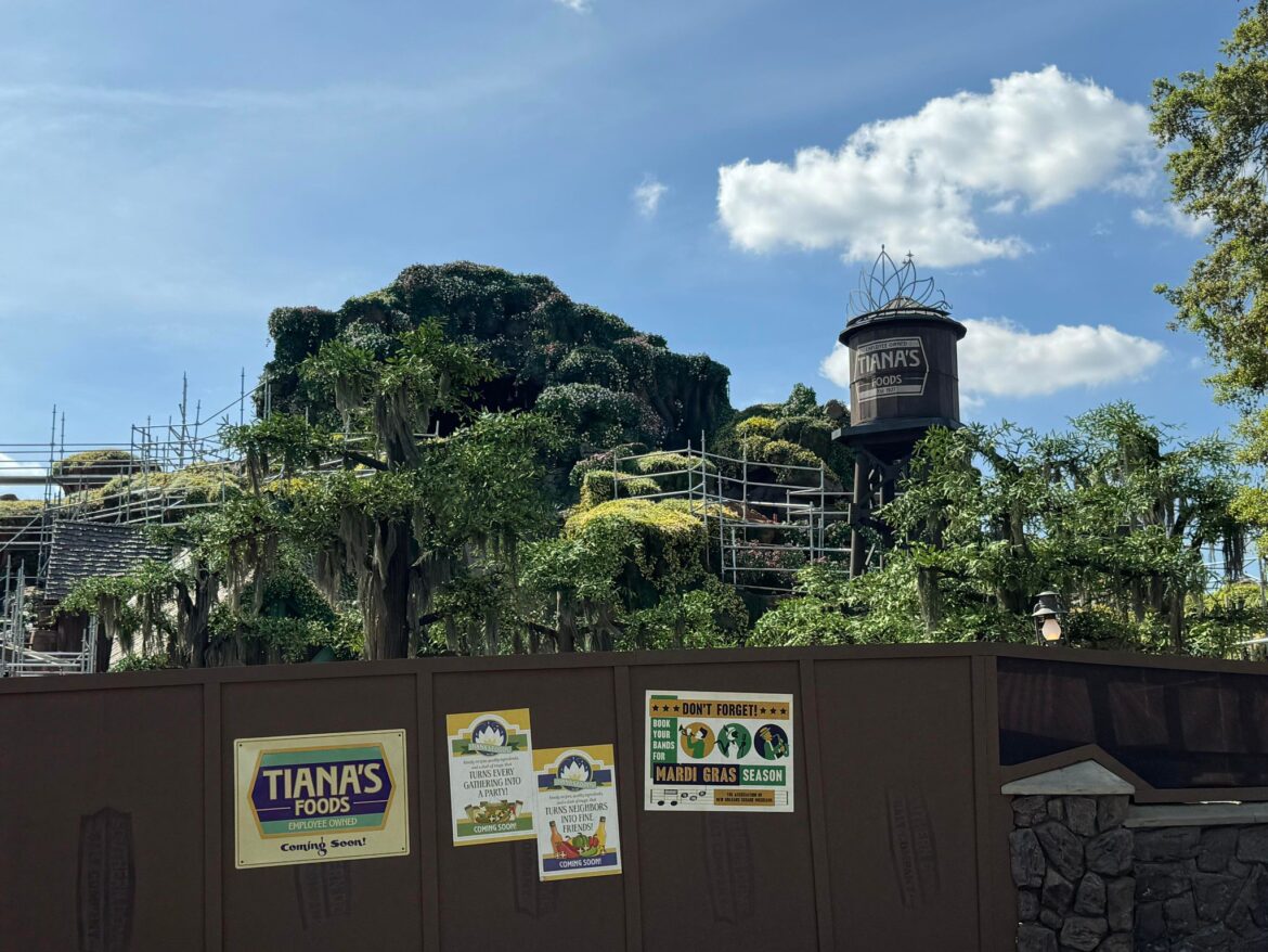 Water Flowing in the Bayou and Log Testing Underway at Tiana’s Bayou Adventure