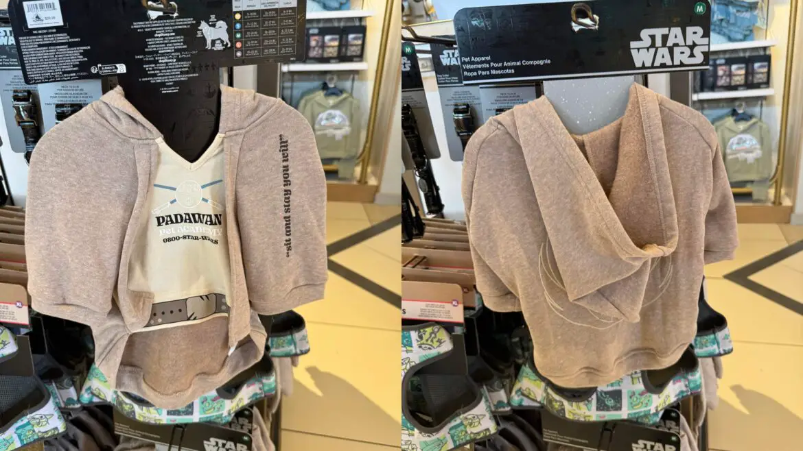 Star Wars Pet Jedi Robe Spotted At Hollywood Studios!