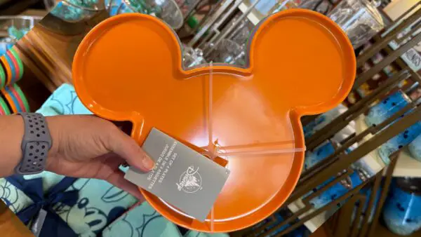 Mickey Mouse Icon Plate Set