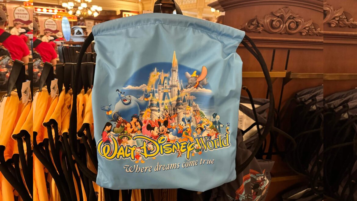 Walt Disney World Drawstring Bag Available At Magic Kingdom!