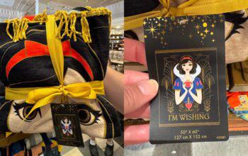 Sail the Seven Seas with Disney Cruise Line Fish Extenders