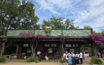 animal-kingdom-guest-relations-new-spot-1