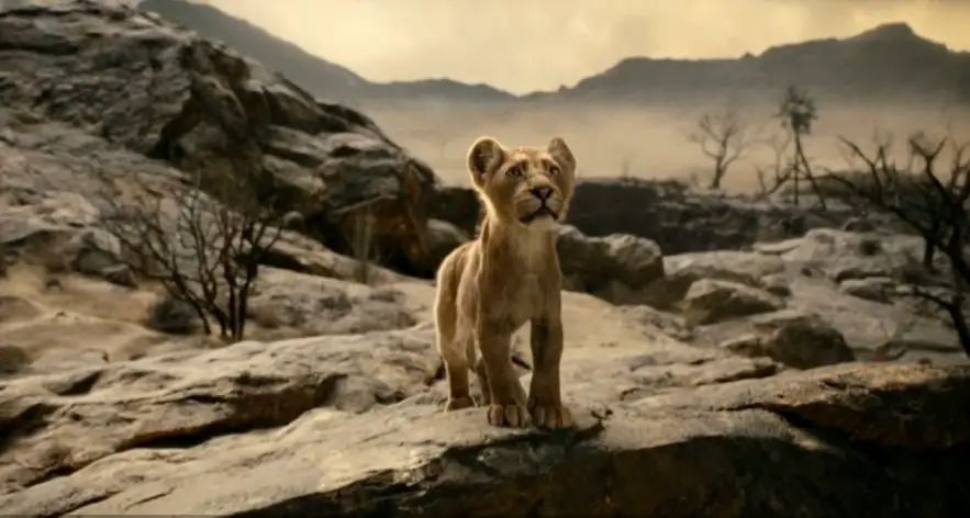 First Look at Young Mufasa in The Lion King Prequel Movie