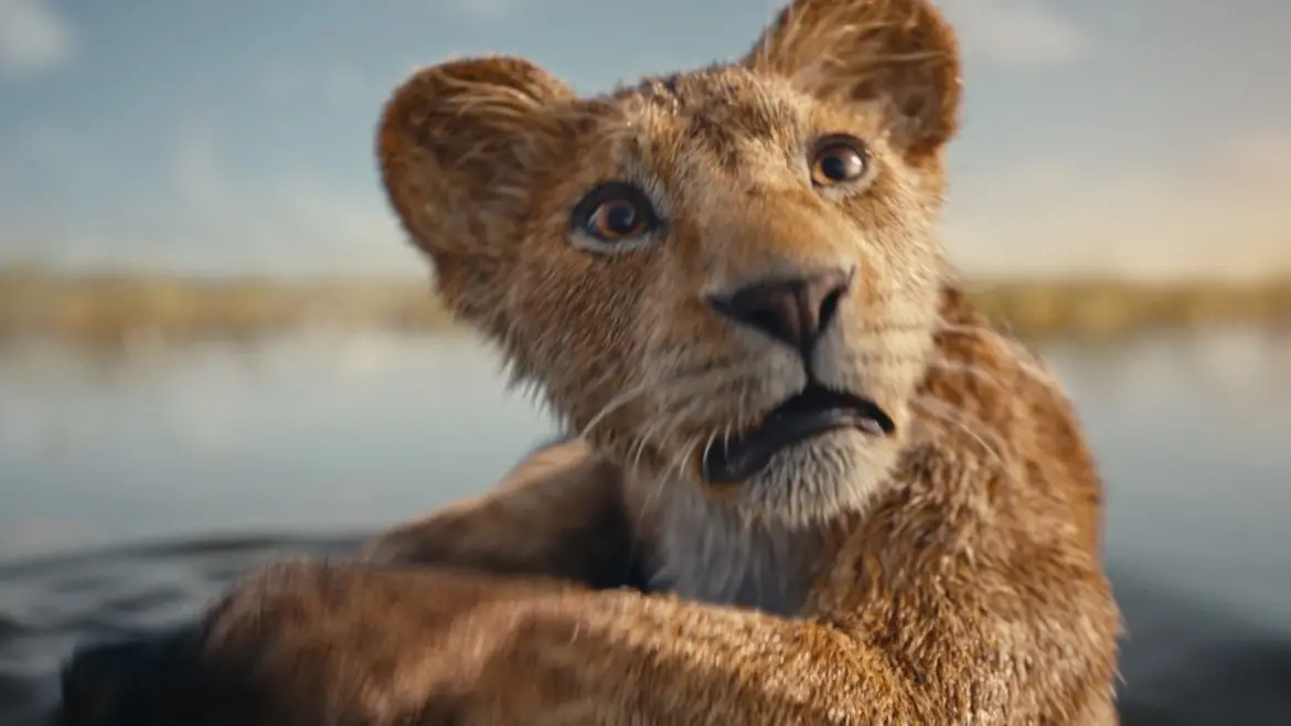 Festival of the Lion King Cast Reacts to new “Mufasa” Trailer