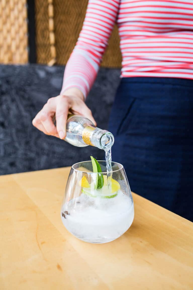 Gin & Tonic Festival Returning to Jaleo Disney Springs Chip and Company