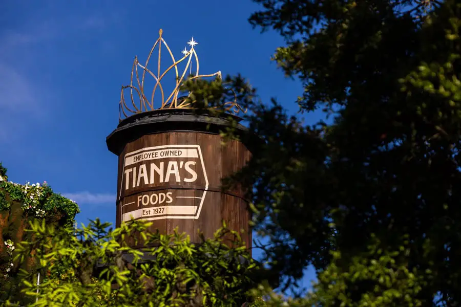 Disney Highlights the Walt Disney Imagineering Team who Brought Tiana’s Water Tower to Life
