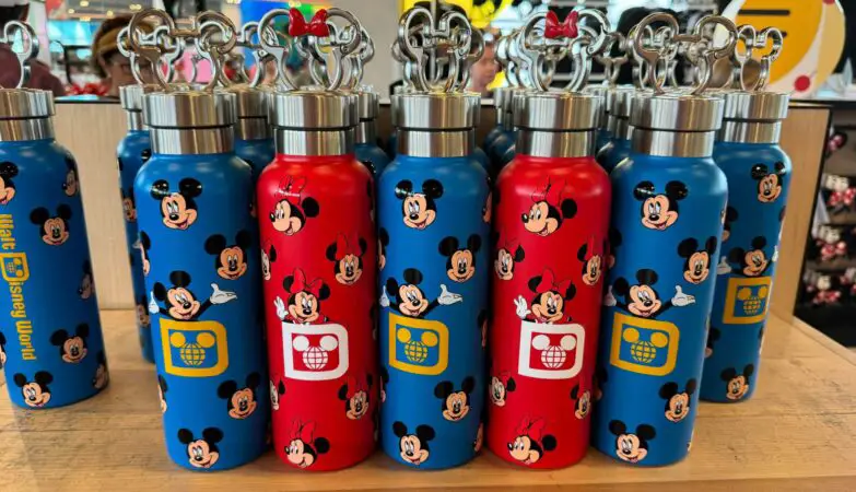 Mickey and Minnie Water Bottles