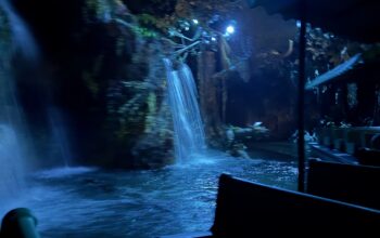 New-Rainforest-Scene-Added-to-Living-with-the-Land-in-EPCOT-2