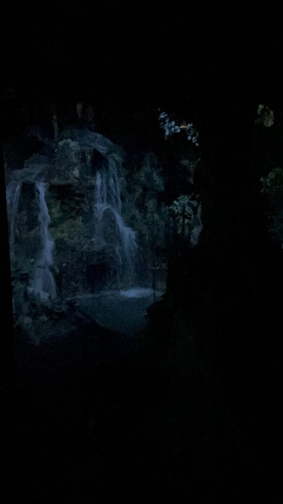 New-Rainforest-Scene-Added-to-Living-with-the-Land-in-EPCOT-3