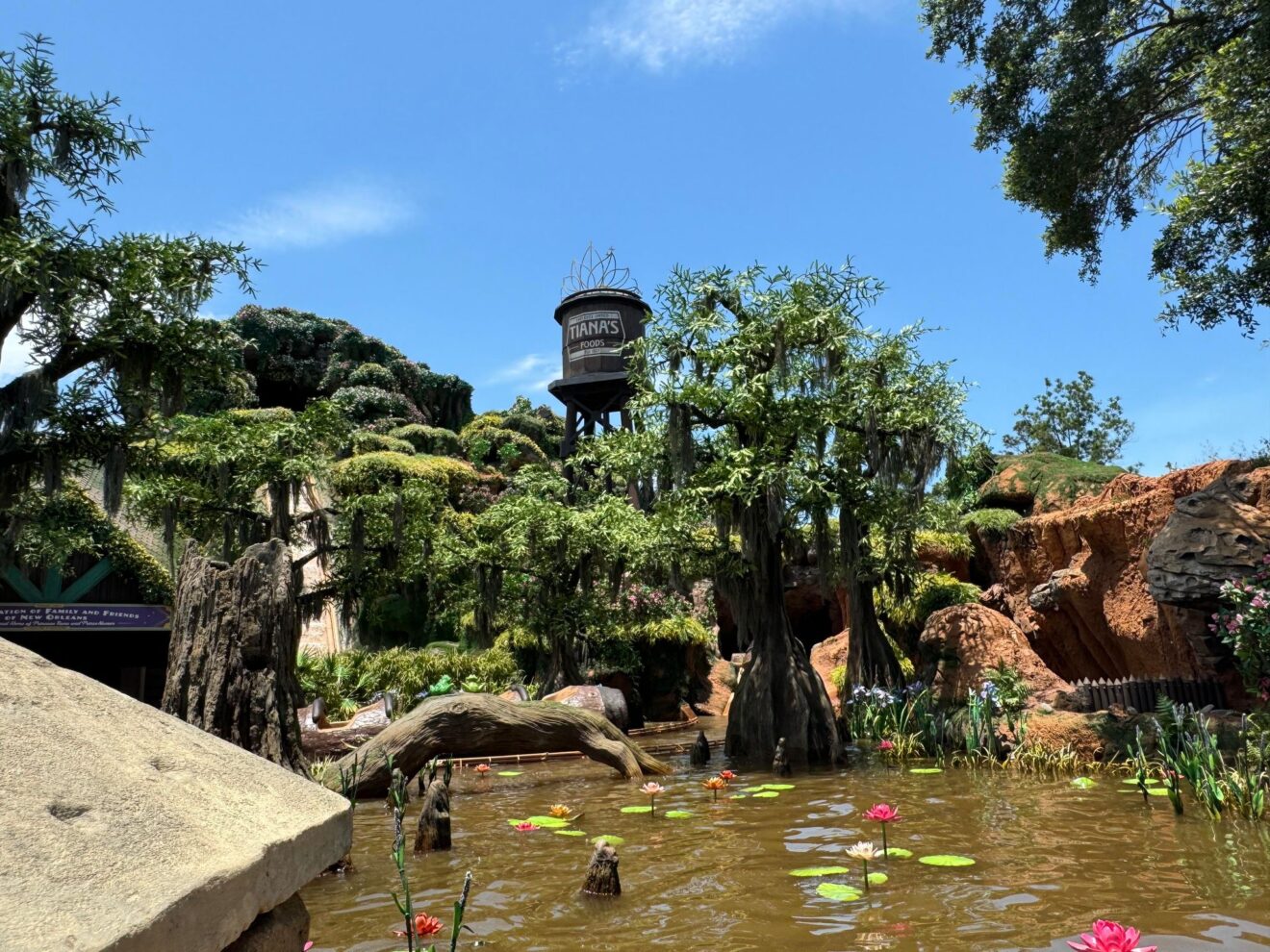 First Look: Tiana's Bayou Adventure Unveiled as Walls Come Down at ...