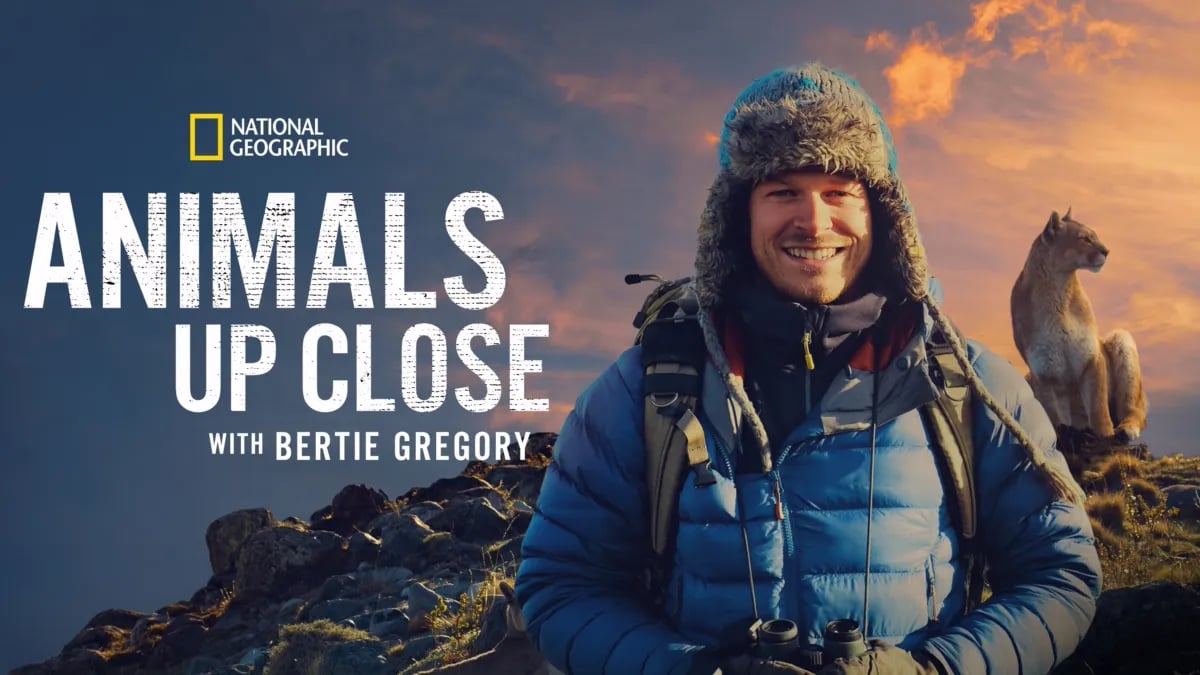 National Geographic Announces 'Animals Up Close' with Bertie Gregory ...