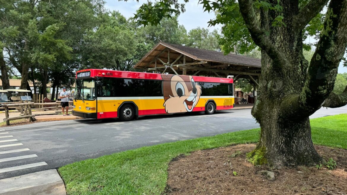 New Chip ‘n Dale Bus Spotted at Walt Disney World
