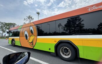 orange-bird-bus-1