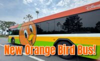 orange-bird-bus-walt-disney-world-cover