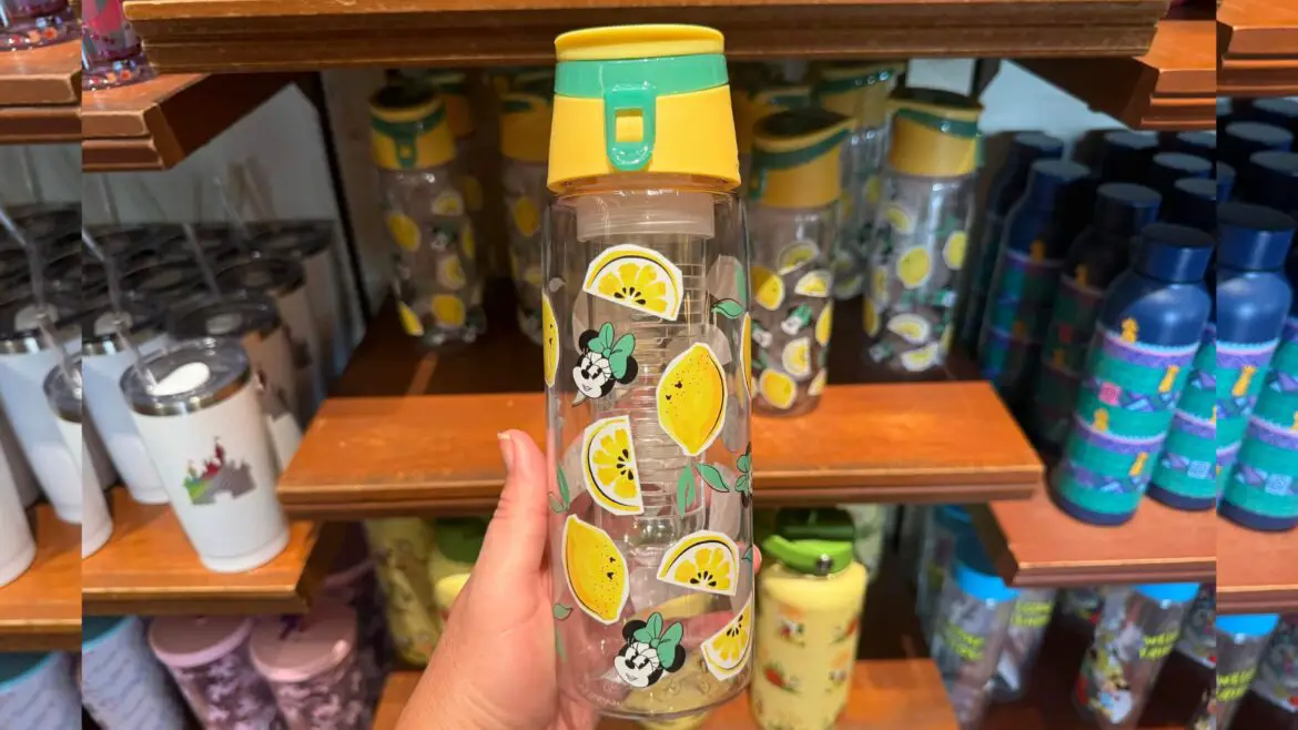 Stay Hydrated in Style with the Minnie Mouse Infuser Water Bottle!
