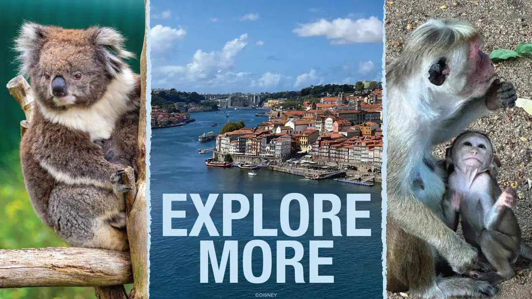 Three Stunning New Itineraries Coming in 2025 for National Geographic Expeditions