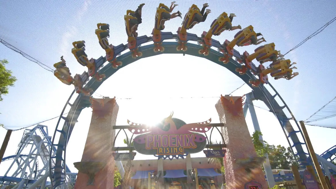 Get Ready to Rise as Phoenix Rising Opens at Busch Gardens Tampa Bay