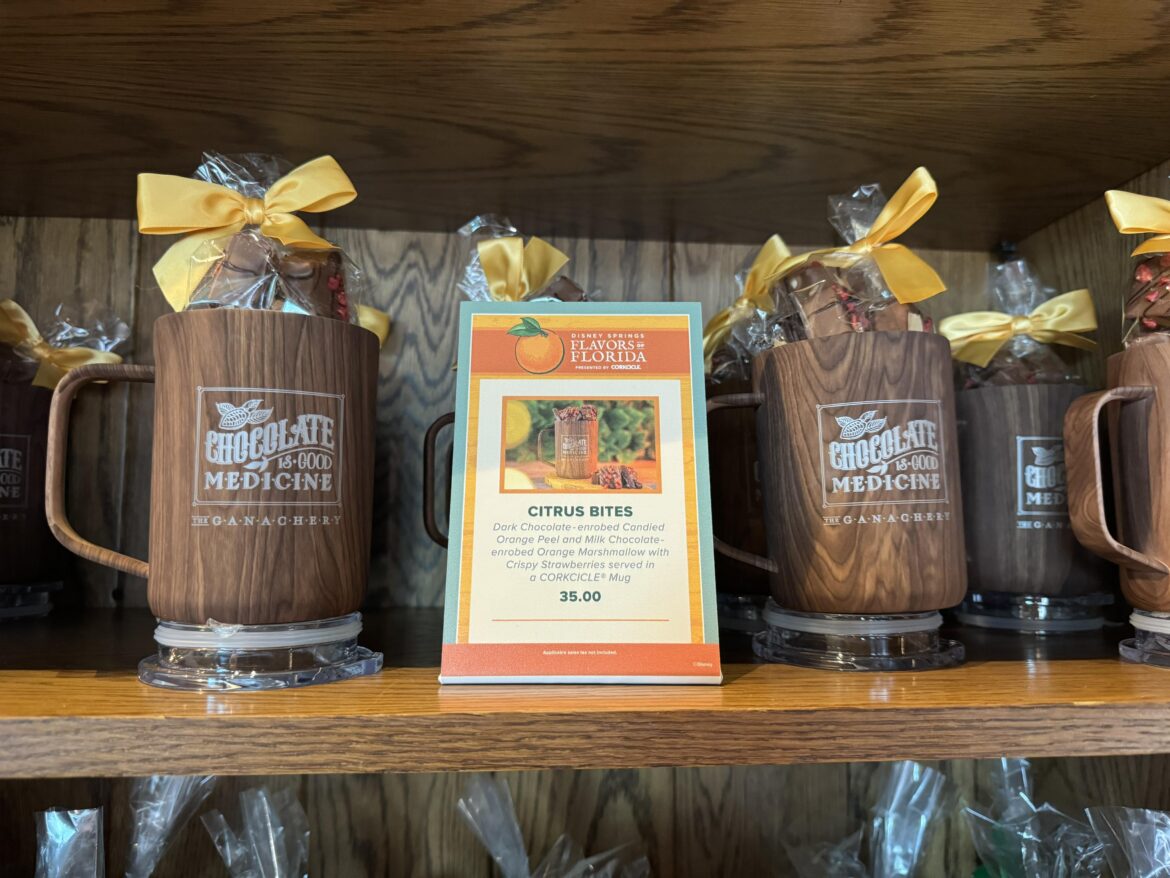 Citrus Bites are the Perfect Medicine for Chocolate Lovers at Disney Springs