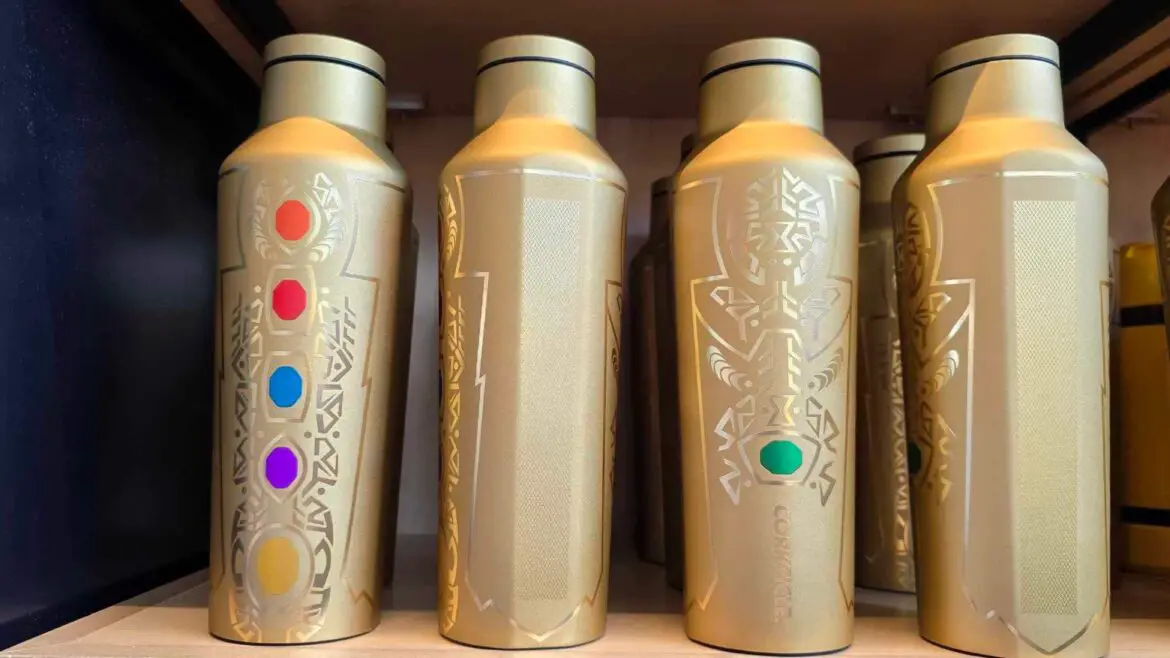 The Infinity Stones Stainless Steel Canteen by Corkcicle lands at Epcot!