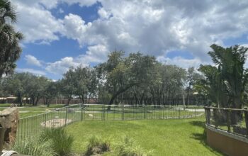 New-Electric-Fencing-Being-Installed-at-Disneys-Animal-Kingdom-Lodge-3