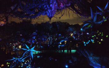 Extended Evening Hours Returning to Disney's Animal Kingdom this Fall 1