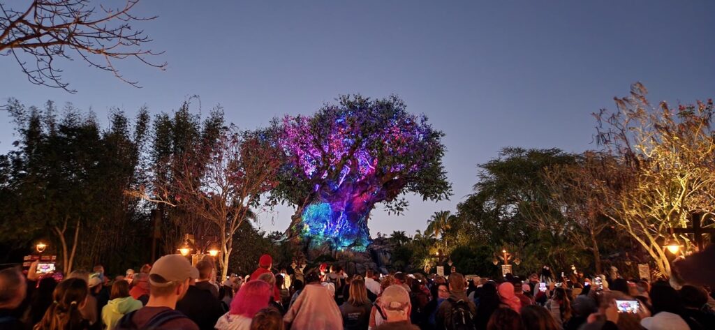 Extended Evening Hours Returning to Disney's Animal Kingdom this Fall 2