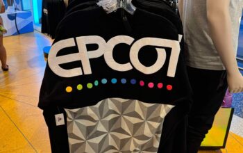 Epcot Spirit Jersey