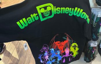 Disney Villains Spirit Jersey