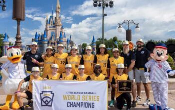 lake mary little league dw