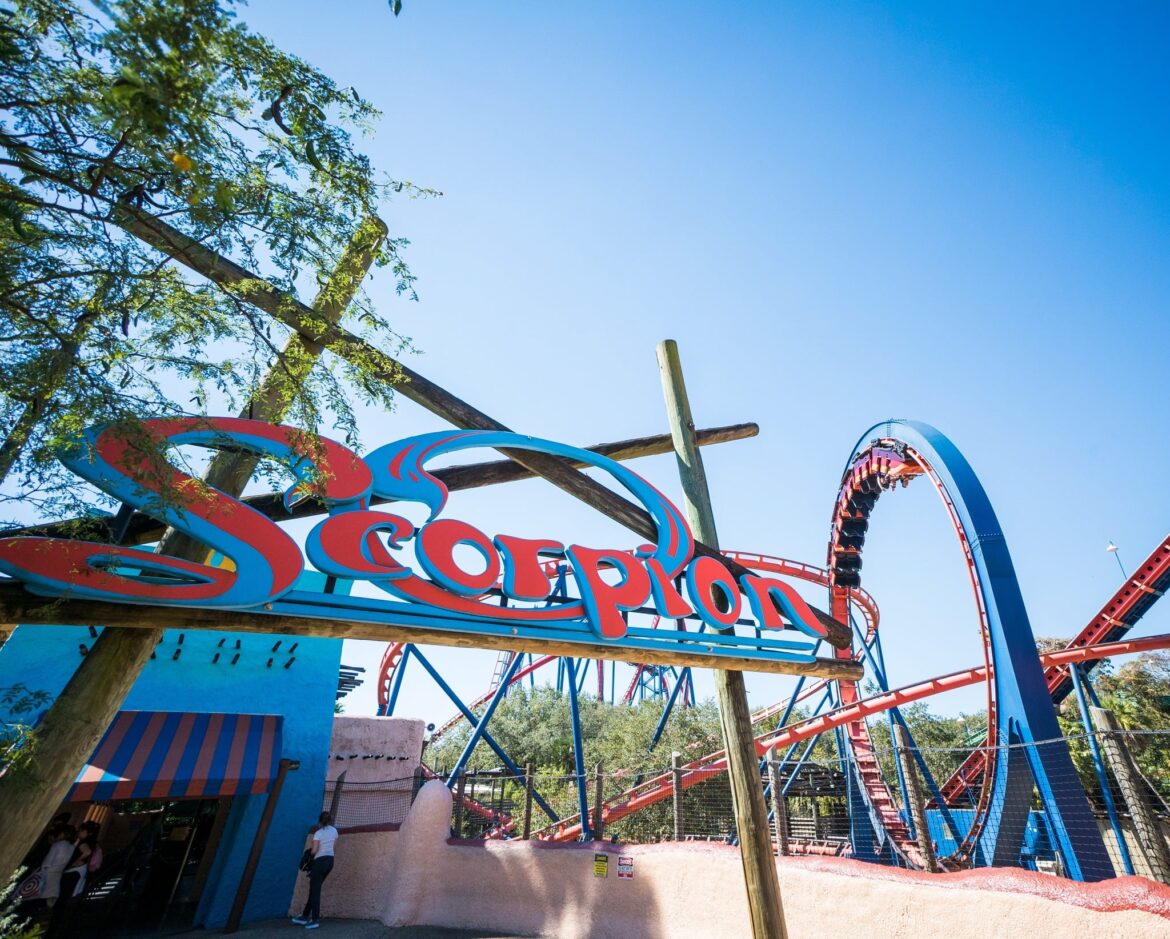 Busch Gardens Tampa Bay Says Goodbye to the Scorpion Roller Coaster