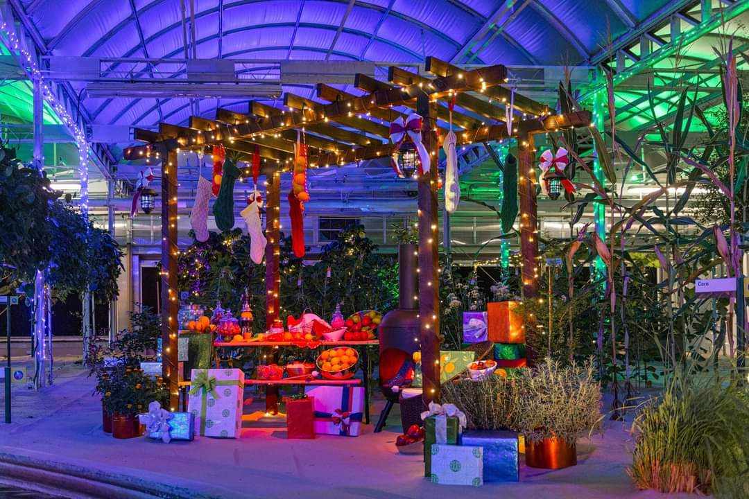 Behind the Seeds: Glimmering Greenhouses Walking Tour Coming to Epcot