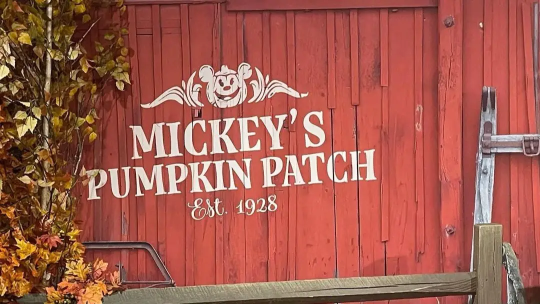 Festive Mickey’s Pumpkin Patch Photo Op at Disney Springs