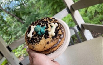 Dig into a Dino Dig Ice Cream Sandwich at Dino-Bite Snacks 1