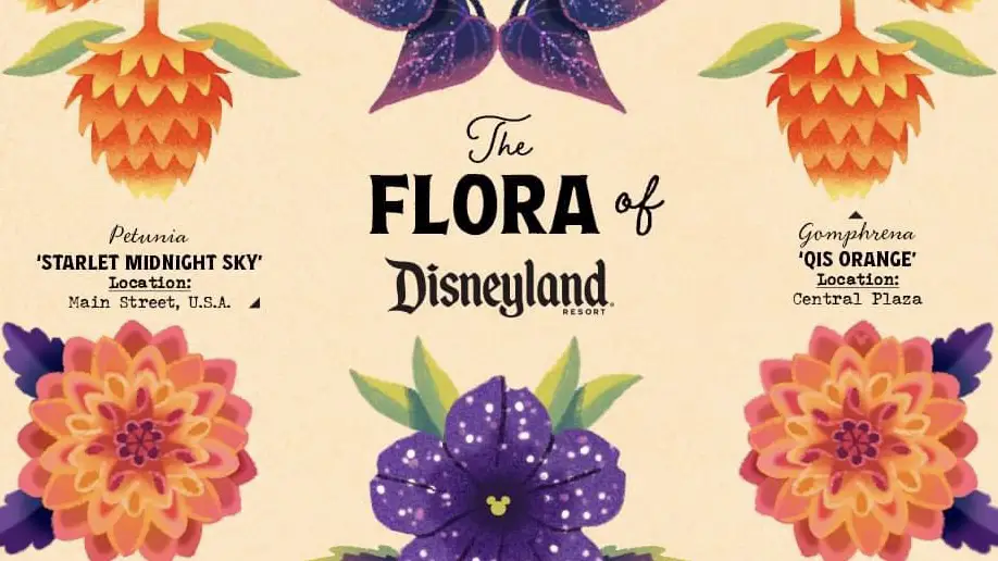 Flora