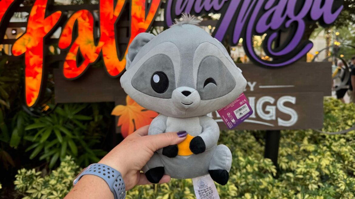 Raccoon-Around with this Meeko Plush now at Disney Springs!