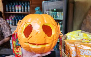 Lil Boo Popcorn Bucket Spotted All Over Universal Orlando 1