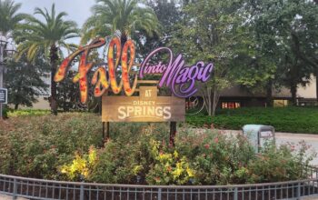 Pura Vida Opening New Retail Location in Disney Springs in 2024 3