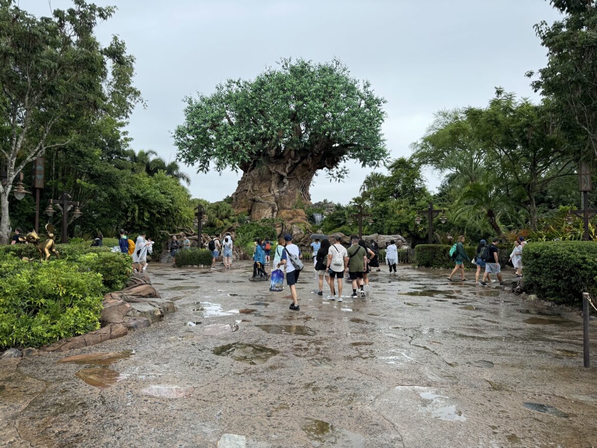 Curfew Issued for Parts of Disney World Due to Hurricane Milton