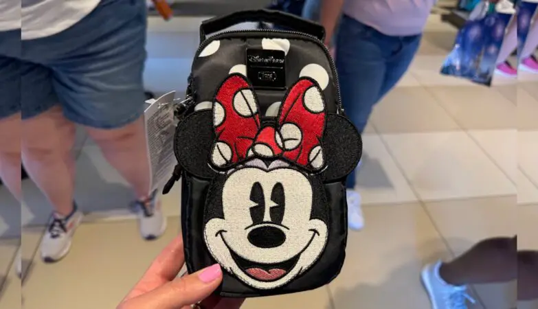 Minnie Mouse Lug Bag