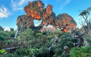 Joe Rhode Shares Sunrise from Pandora on Recent Trip to Disney's Animal Kingdom 1